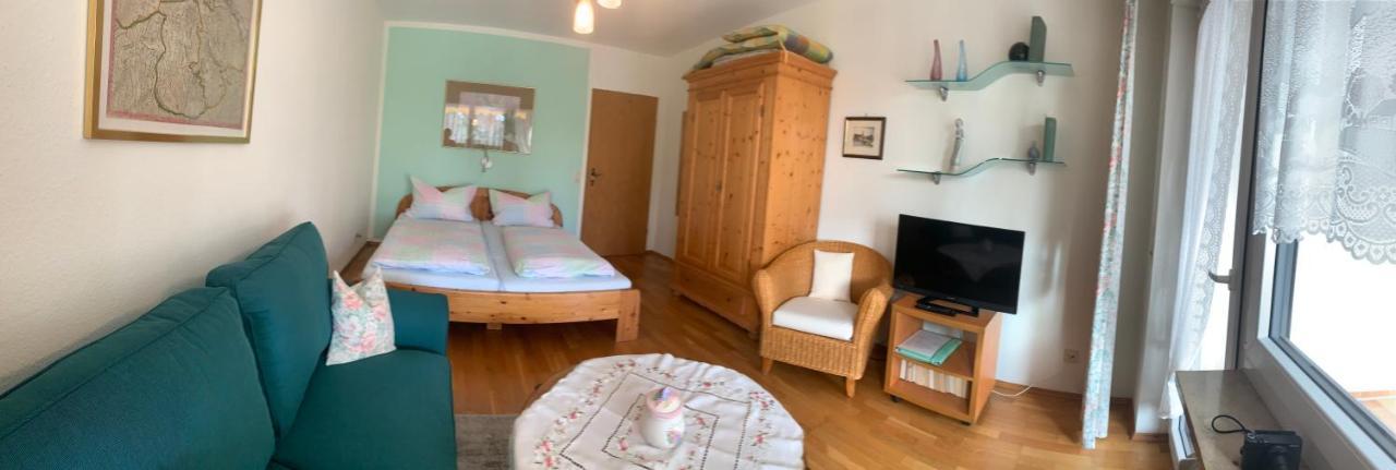 Haemmerle Fewo Holiday Apartment - Green Konstanz Bagian luar foto